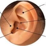 imgi_3_ac5d1e_8e3d60d8f1c946e1b4d6aa6755402bf3