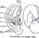 imgi_4_ac5d1e_a2cdd2657a0c450f9f89f10eecbac45f